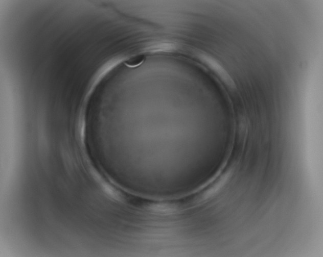 X0000114151418200910081324