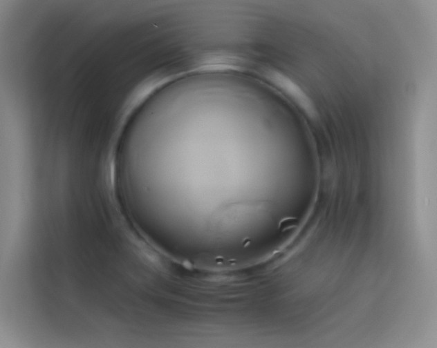 X0000114151419200910081324