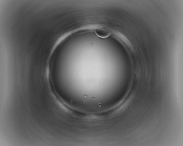 X0000114151420200910081324
