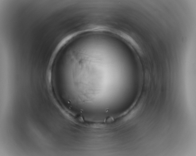 X0000114151424200910081324