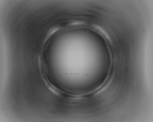 X0000114151425200910081324