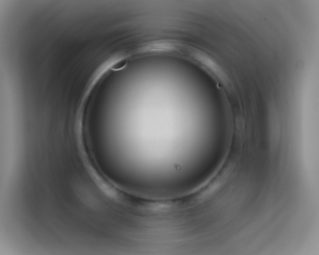 X0000114151426200910081324