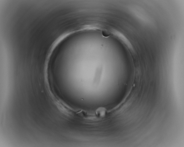 X0000114151427200910081324