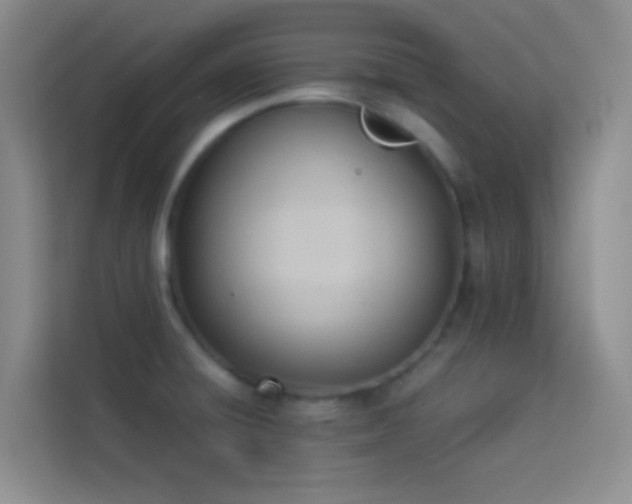 X0000114151428200910081324
