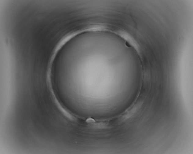 X0000114151429200910081324