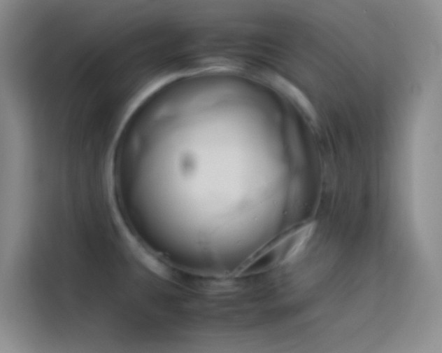 X0000114151431200910081324