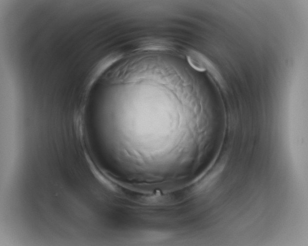 X0000114151433200910081324
