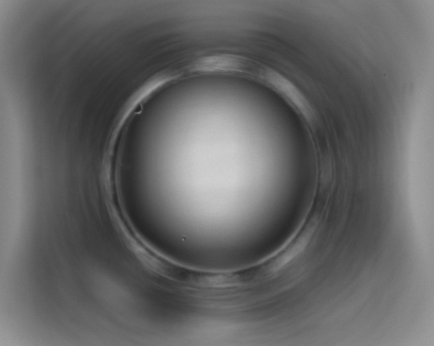 X0000114151434200910081324