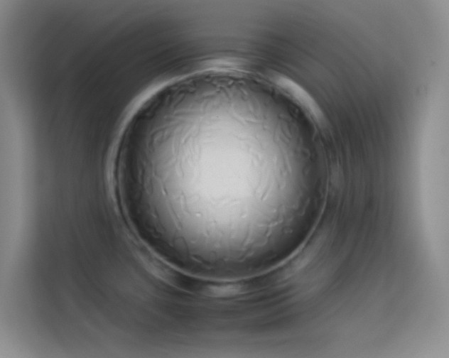 X0000114151435200910081324