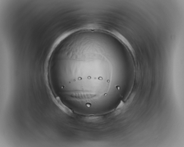 X0000114151437200910081324