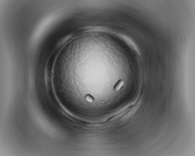 X0000114151438200910081324