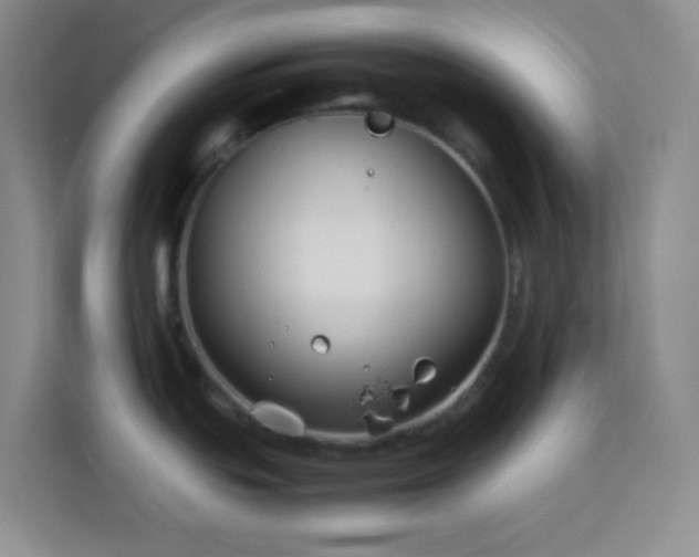 X0000114151439200910081324
