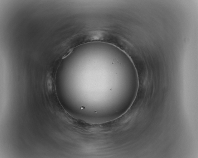 X0000114151442200910081323