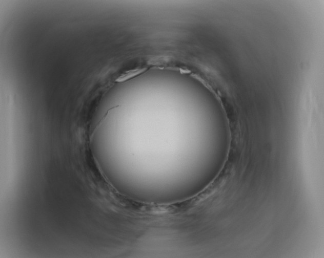 X0000114151445200910081323