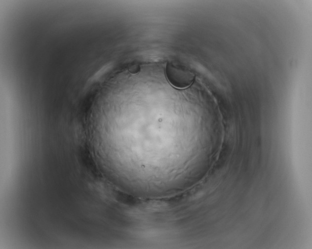 X0000114151446200910081323