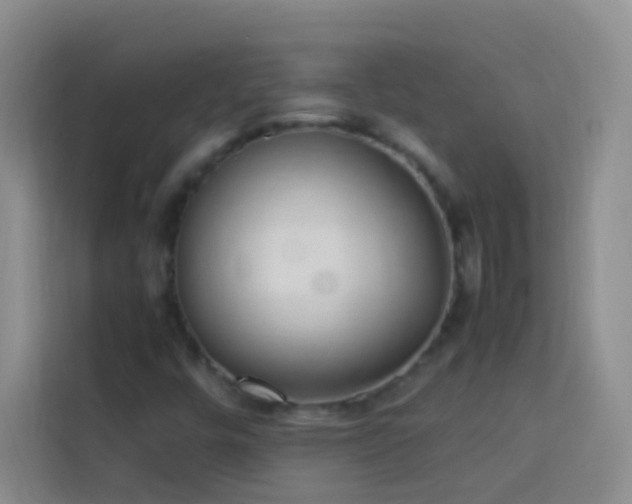 X0000114151448200910081323