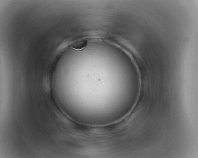 X0000114151451200910081323