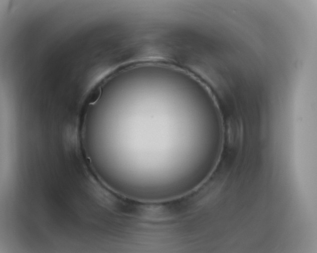 X0000114151452200910081323