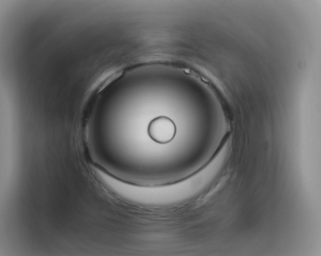 X0000114151453200910081323