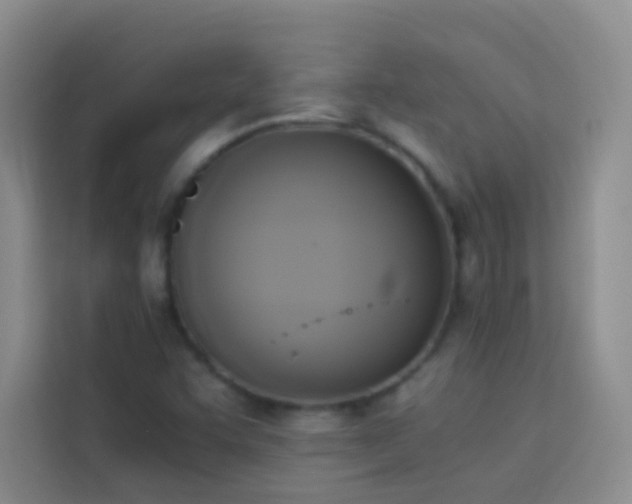 X0000114151455200910081323