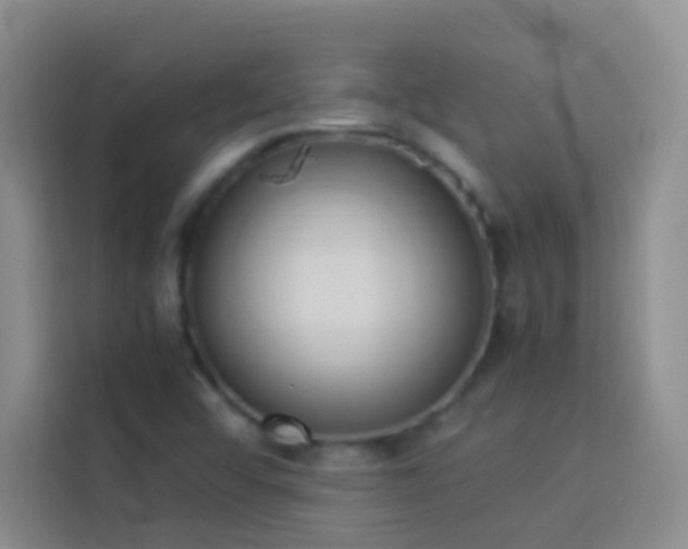 X0000114151456200910081323