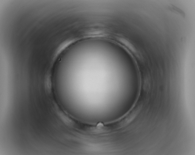 X0000114151458200910081323