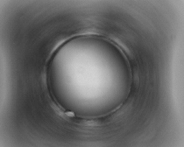 X0000114151460200910081323