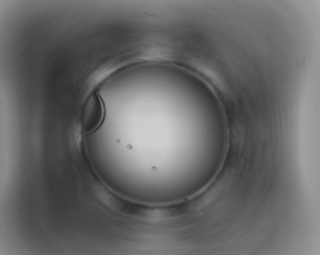 X0000114151461200910081323
