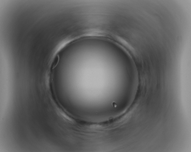 X0000114151463200910081323