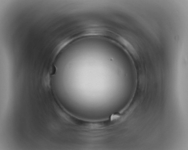 X0000114151465200910081323