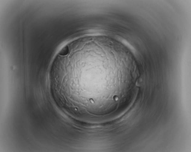 X0000114151467200910081323