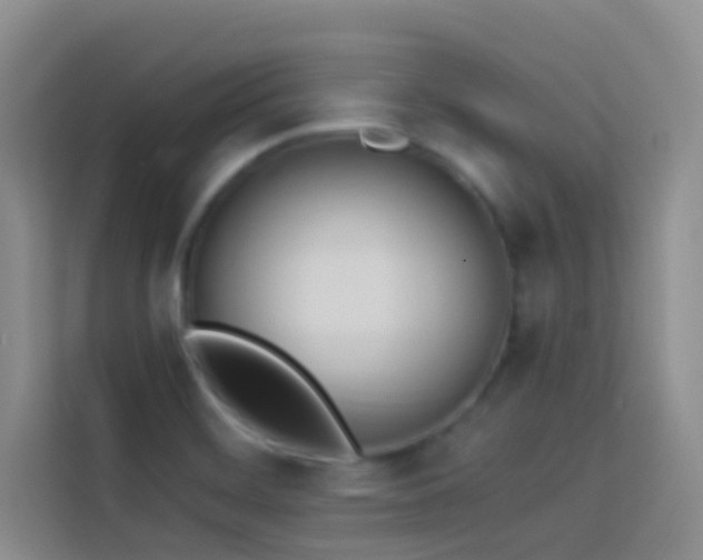X0000114151468200910081323
