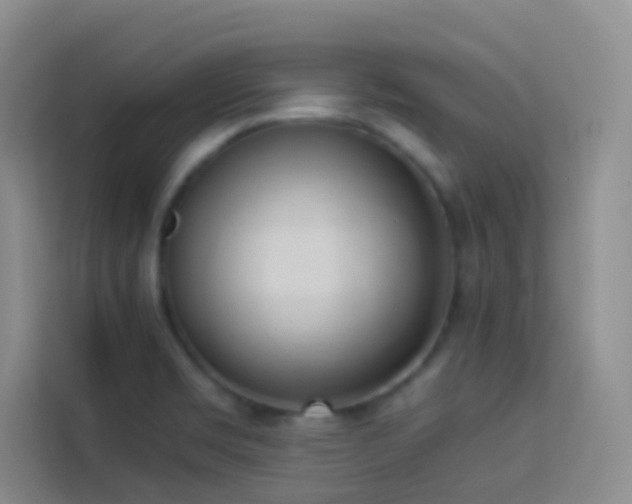 X0000114151469200910081323