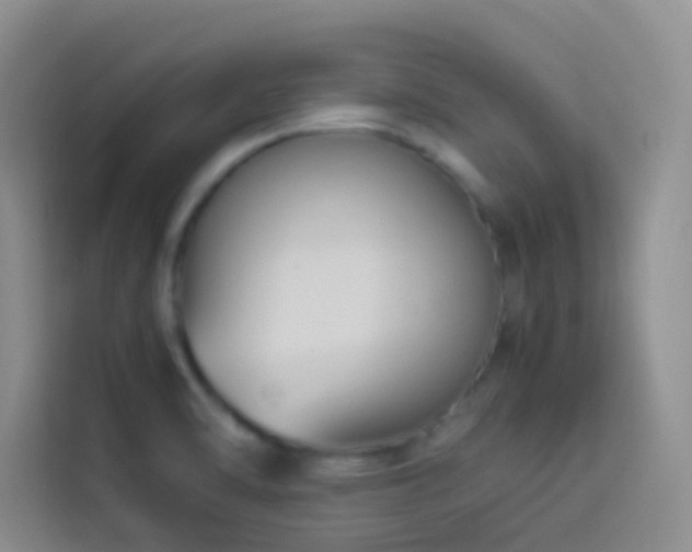 X0000114151470200910081323