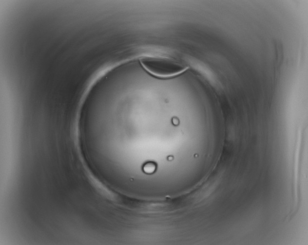 X0000114151471200910081323
