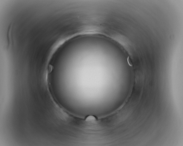 X0000114151472200910081323