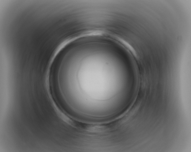 X0000114151475200910081323