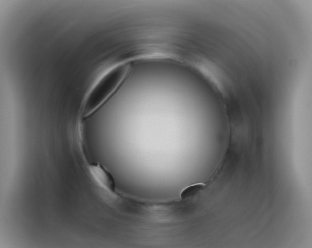 X0000114151476200910081323