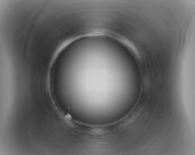 X0000114151480200910081323