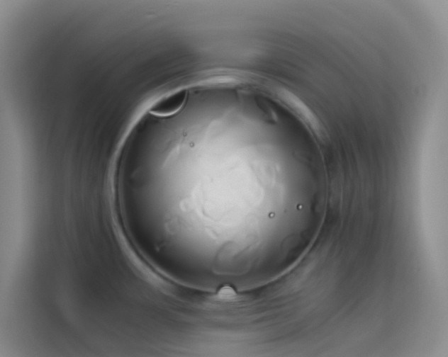 X0000114151483200910081323