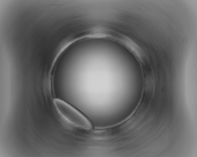 X0000114151484200910081323