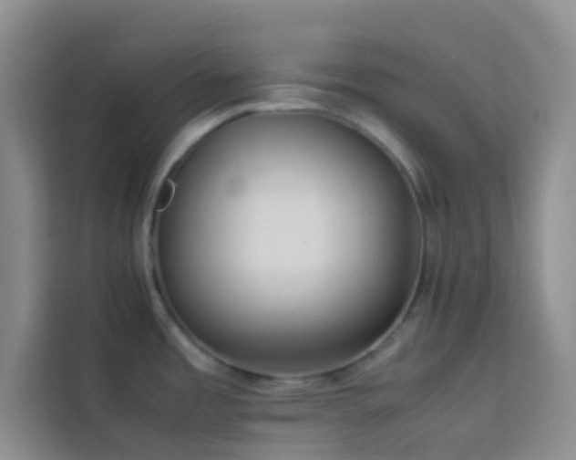 X0000114151485200910081323