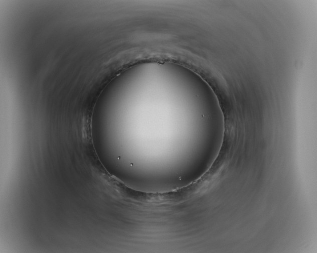 X0000114151490200910081322