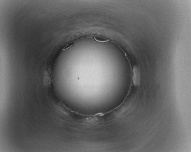 X0000114151491200910081322