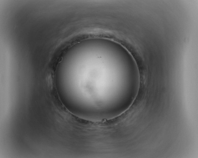 X0000114151493200910081322