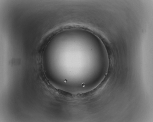 X0000114151494200910081322