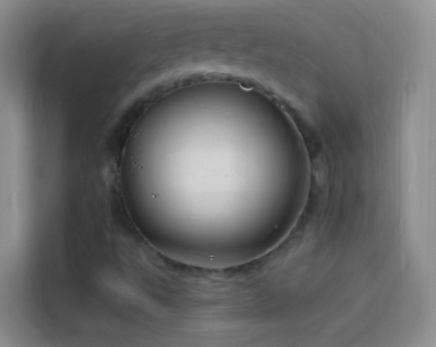 X0000114151495200910081322