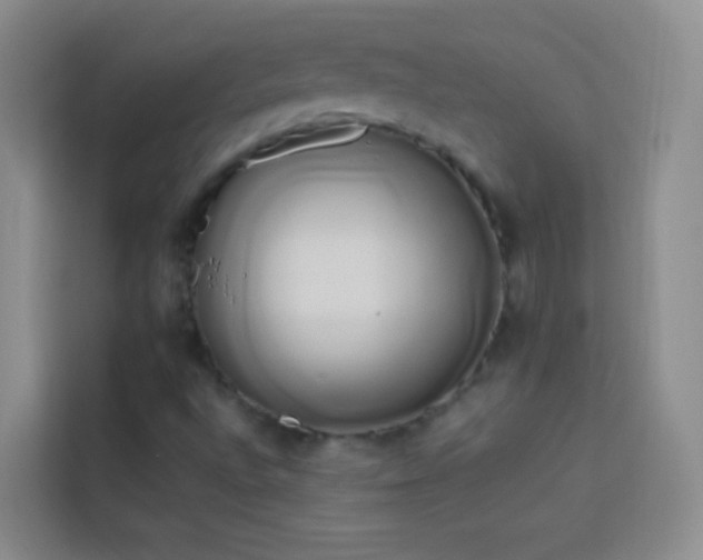 X0000114151496200910081322