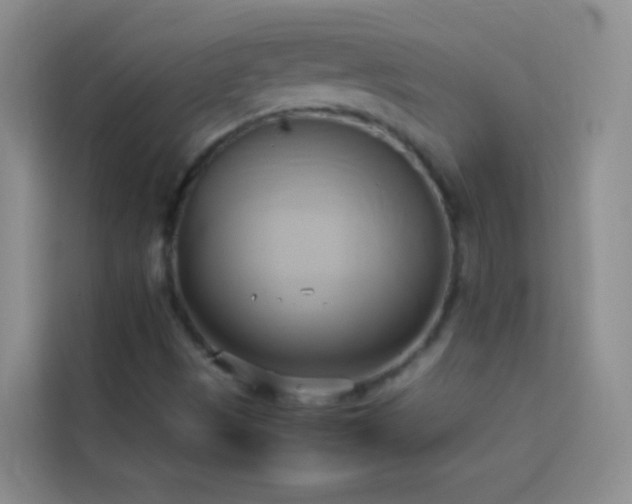 X0000114151497200910081322