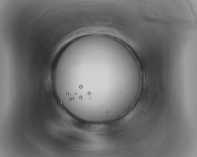 X0000114151498200910081322